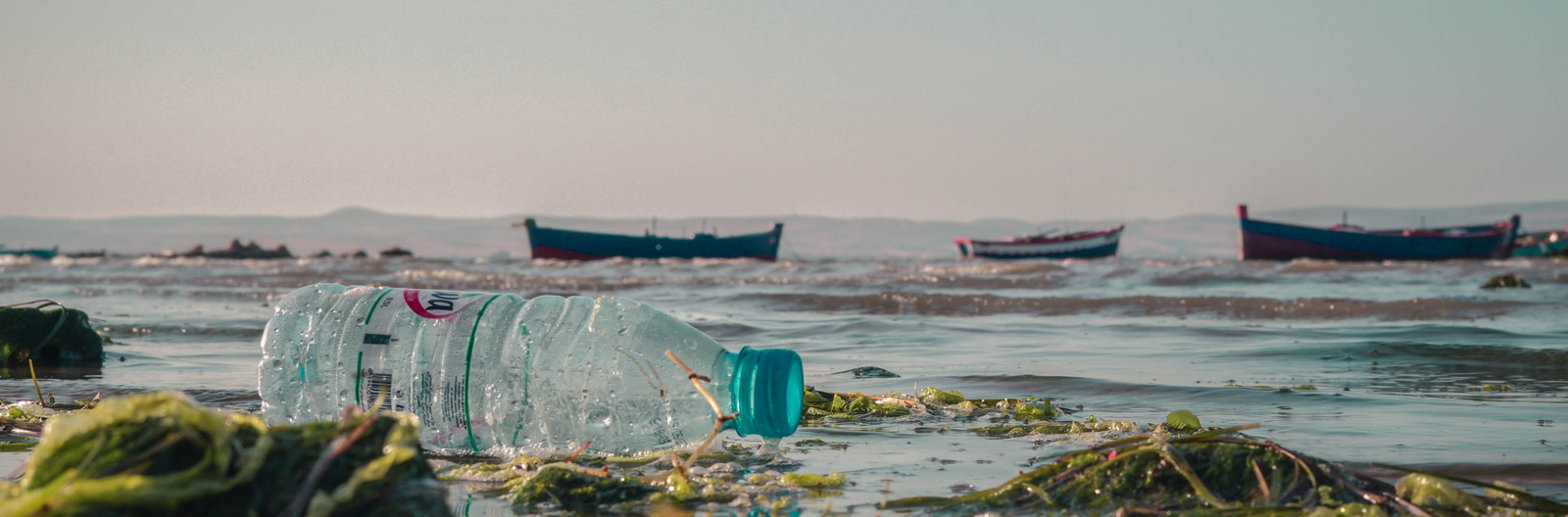 Pollution Plastique